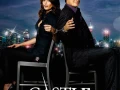 Castle S01-S08 1080p DSNP WEB-DL