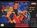 Art Of Fighting Portable