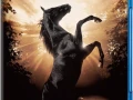 Black Beauty (1994) BRrip Audio Dual 1080p