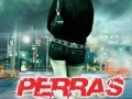 Perras De Barrio (2015) [Drama] +18