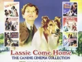 Películas Lassie (1943-2005) 480-720p