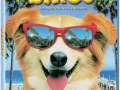 Bingo (1991) Open Matte Audio Dual 1080p
