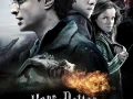 Harry Potter and The Deathly Hallows Pt2(2011) MAX