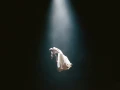 Ariana Grande - Eterna Sunshine Deluxe [FLAC Hi-Re