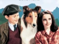 Lassie Come Home / La Cadena Invisible (1943)