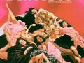 Beyond the Valley of the Dolls (1970) +18