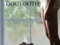 Canino (Kynodontas) (DogTooth) (2009) Griego Sub
