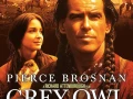 Grey Owl (1999) Audio Dual 1080p