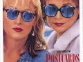 Postcards from the Edge 1990 1080p Dual(M. Streep)