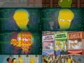 Los Simpson (2020) Temporada 32 1080p BRrip Dual