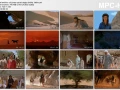 El joven corcel negro (DVDRip) Latino