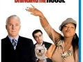 Bringing Down The House (2003) DUAL 1080p