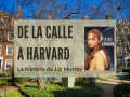 De la Calle a Harvard (2003) Open Matte