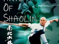 Jet Li - Martial Arts of Shaolin-1986 1080p Ligero