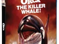 Orca 1977 1080p 10 Bits Dual Bdrip 60 Fps