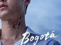 Bogotá Tierra de últimas oportunidades 2024 Online