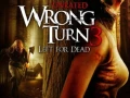 Camino Hacia El Terror 3 2009 1080p Español Latino