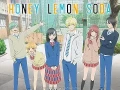 Honey Lemon Soda - 11
