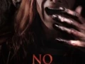 No voltees (2024) WEB-DL HD720p Mexico MF