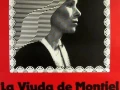 La Viuda De Montiel (1979) Mexico/Littin/1080p/MF